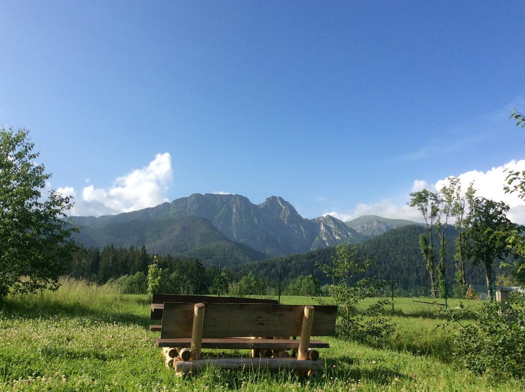 Apolonia * Zakopane
